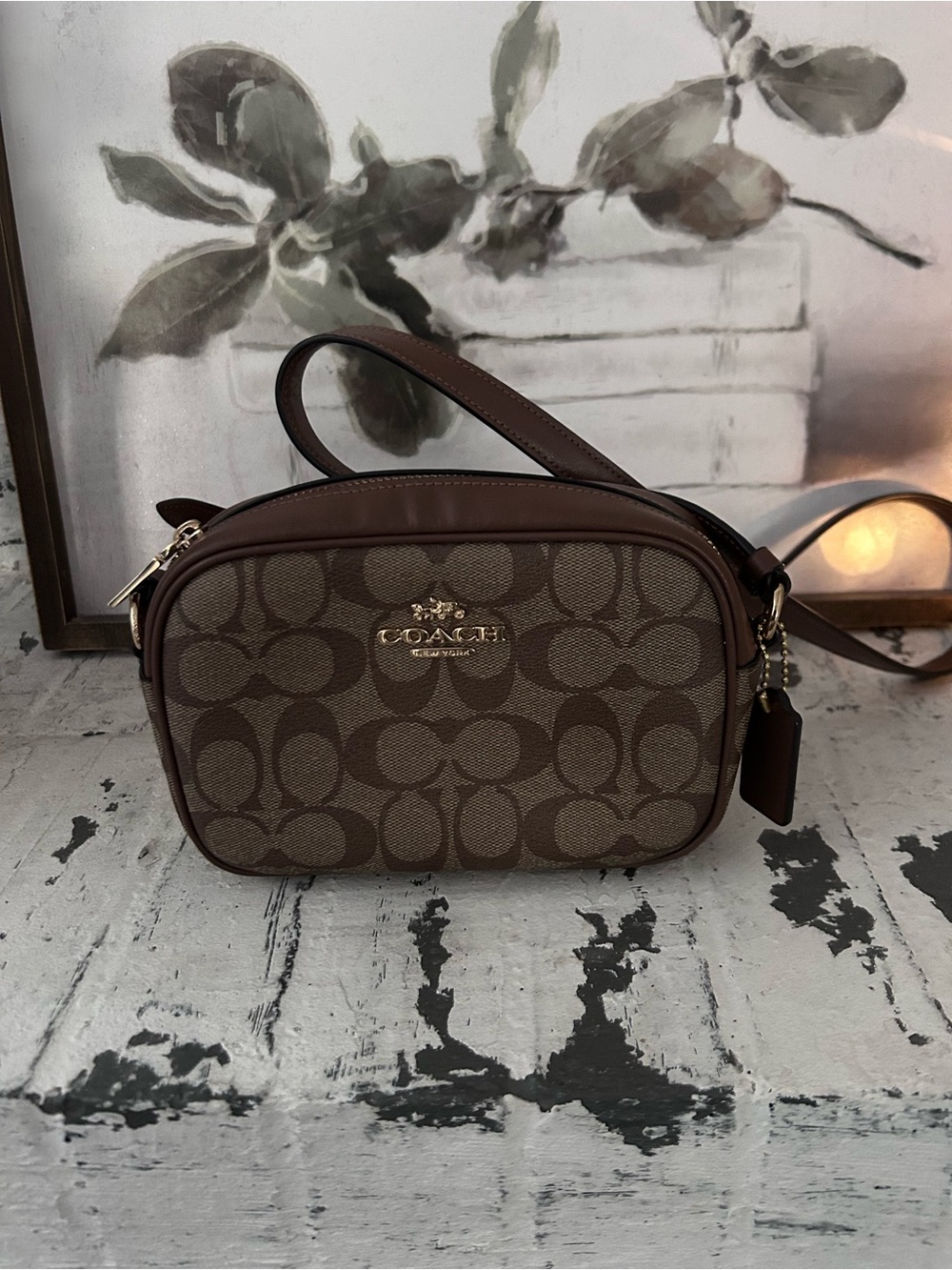 COACH Brown Signature Canvas Tote
